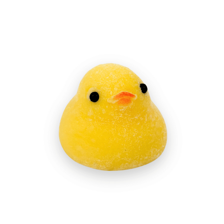 DUCK Mini Animal Keychain Taba Squishy