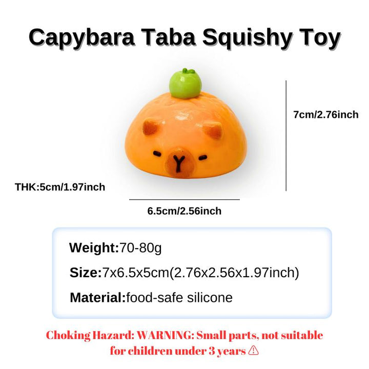 Capybara Taba Squishy Toy